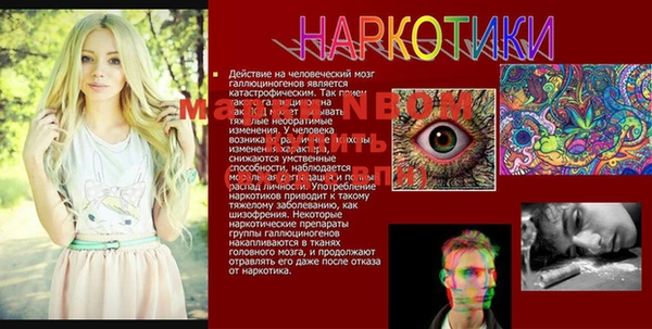 гидропоника Дмитровск