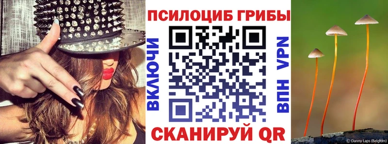 Галлюциногенные грибы мицелий  Купить  Куса 